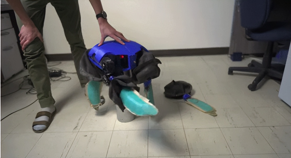 科企岛：海龟机器人，在水中和陆地上游泳