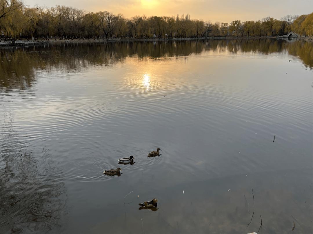 世界最好的皇家园林,世界上最完整的皇家园林