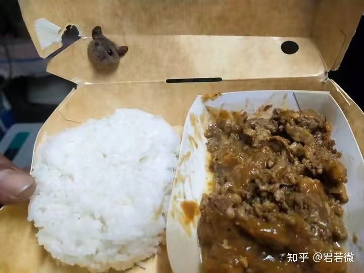 每天睡得很累是因为什么,生活太累有点撑不住了早点睡觉