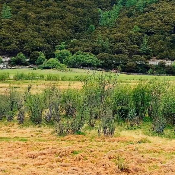 赛里木湖畔（3）录屏自微信视频号少林带你奇幻漂流