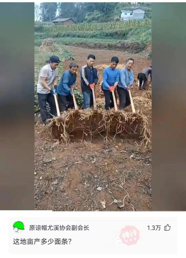 神回复怎么回复比较高情商,有意思的神回复方法