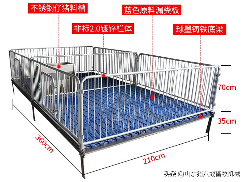 仔猪保育床饲养多少头合适,仔猪保育床一平方养多少个猪