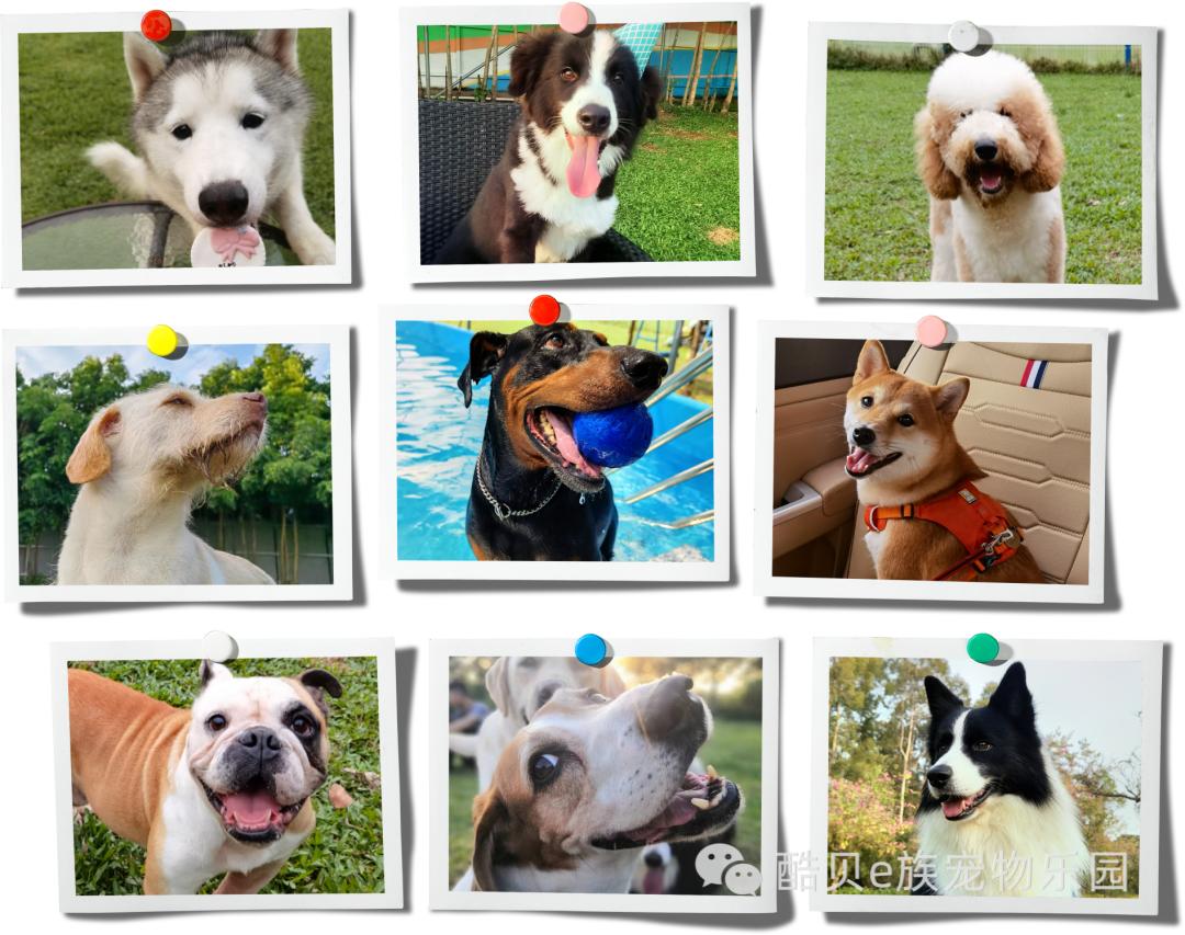 酷贝现在怎样了,你踩过坑吗测试