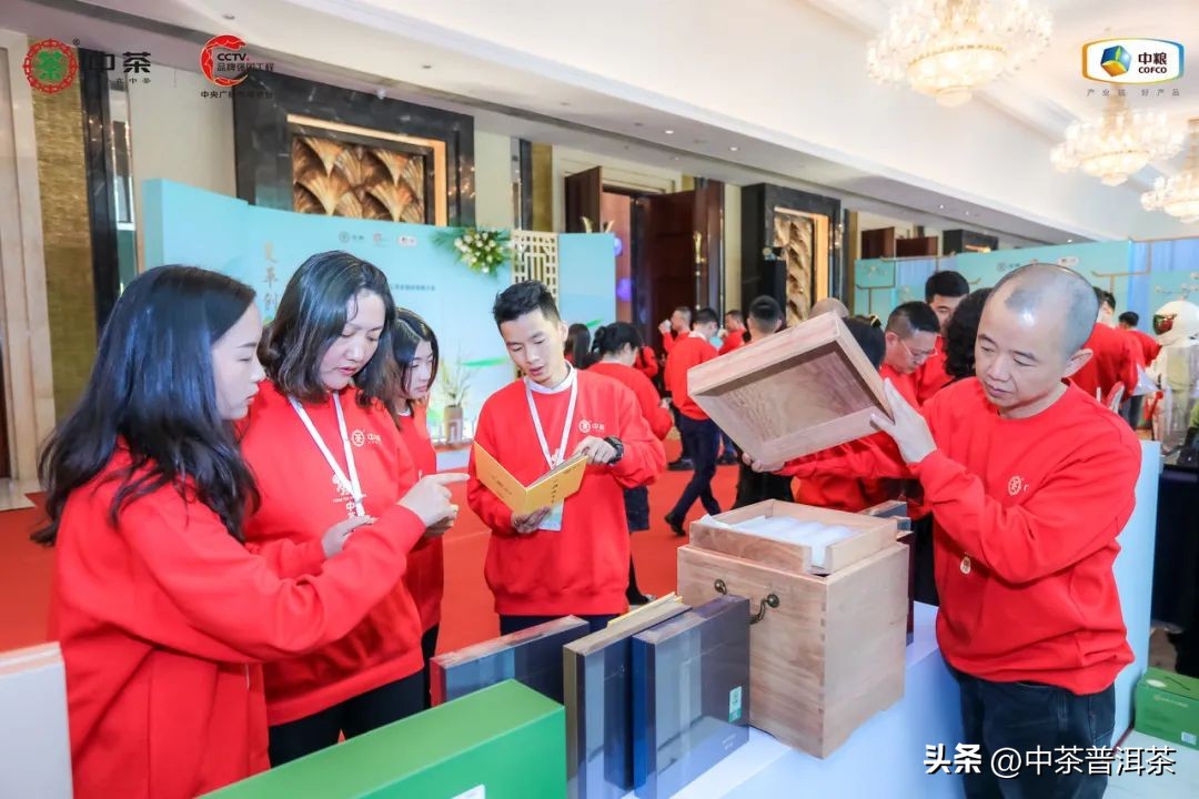 中茶普洱茶经销商信息大会,中茶2024年经销商大会