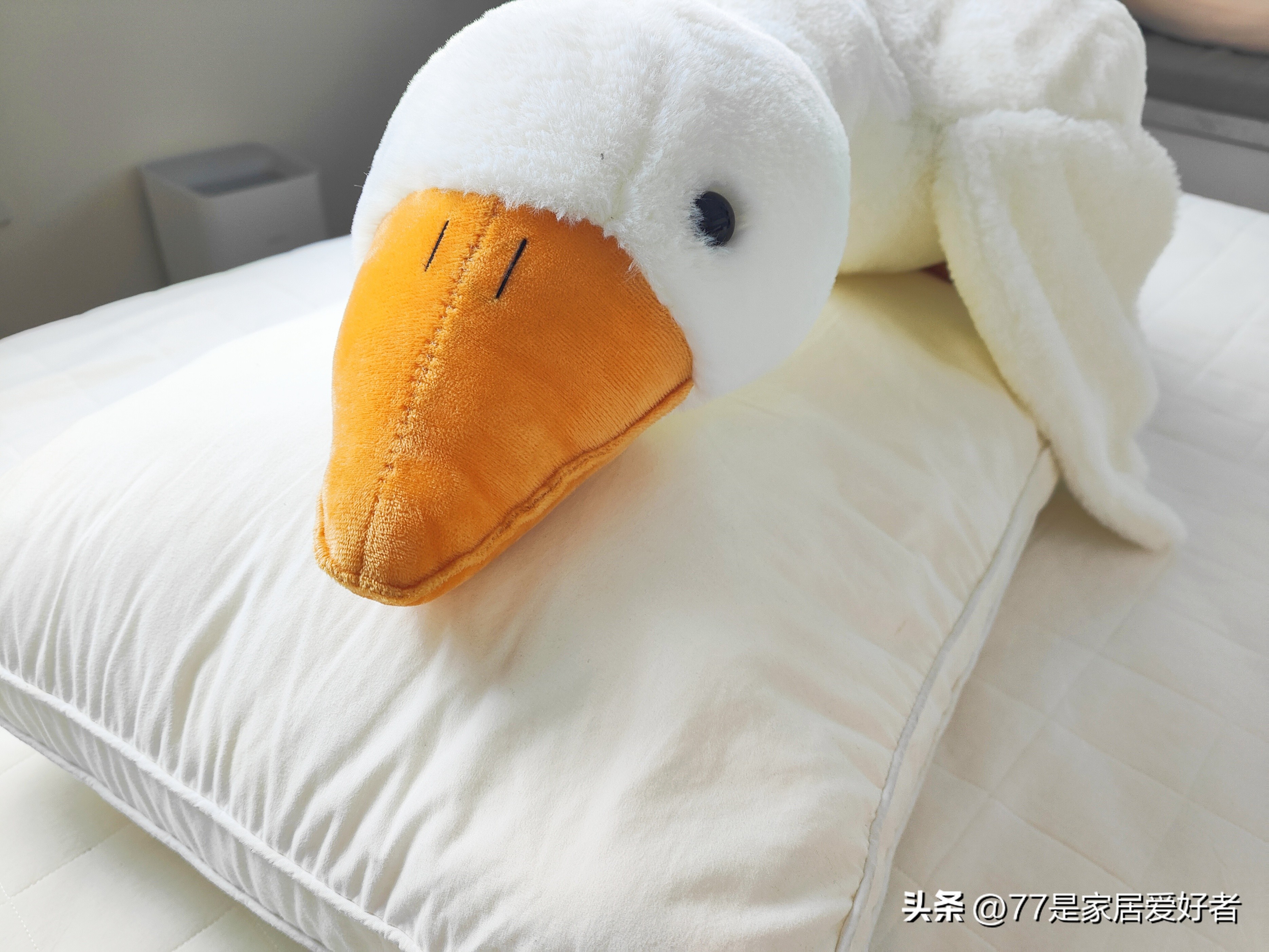 什么样的枕头睡起来舒服一点,如何挑一款睡觉舒服的枕头