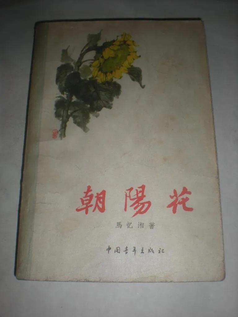 红色太阳花花语和寓意,红色朝阳花