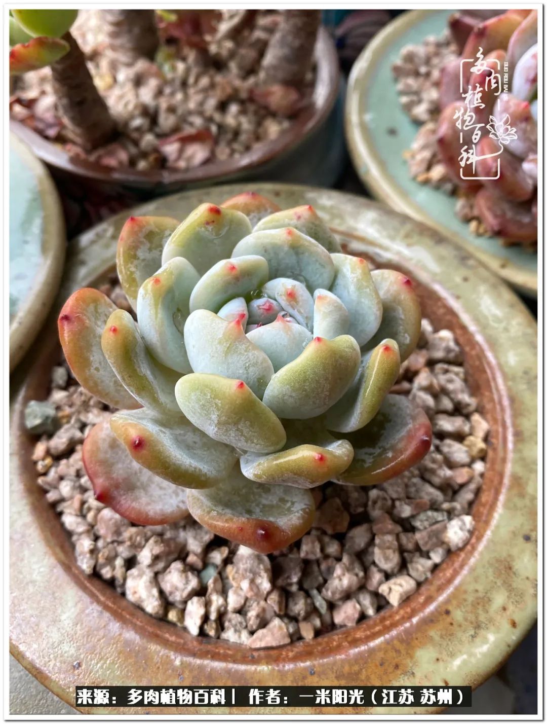 幸福就是珍惜当下所拥有的,珍惜当下所拥有的才是幸福的