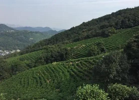 晚上杭州最值得去的五个景点,杭州名胜古迹旅游景点有哪些