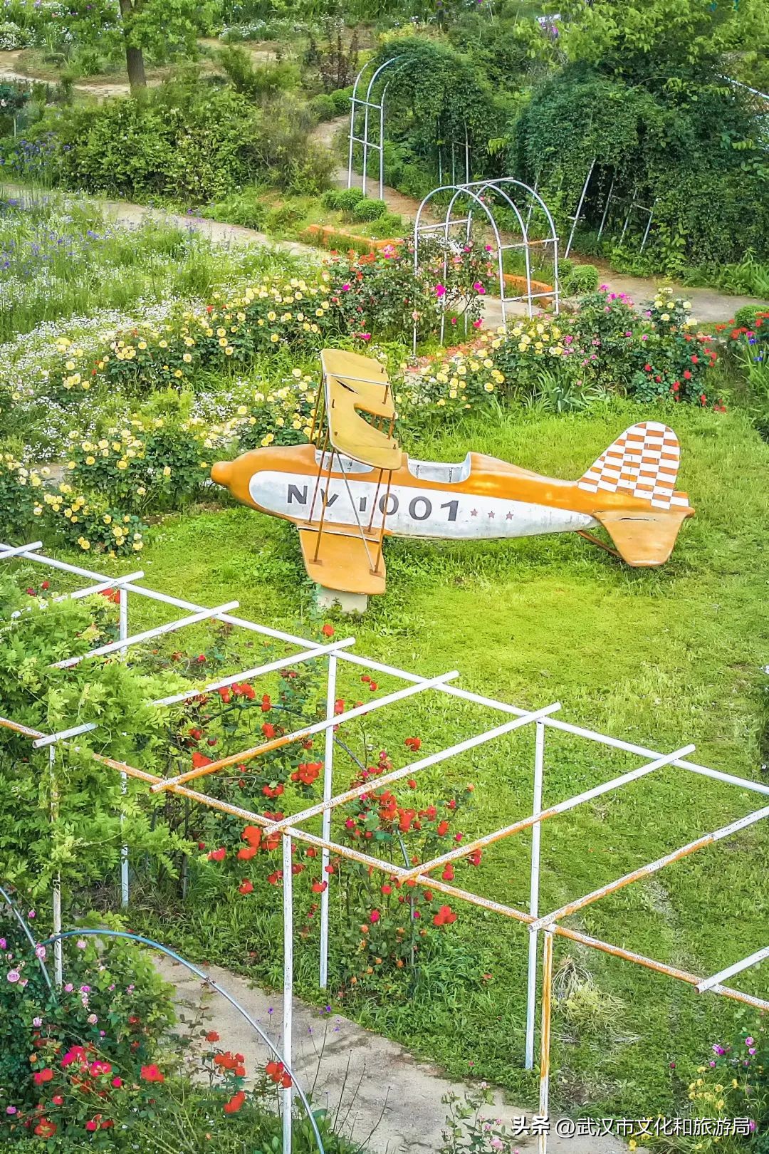 端午节私藏版游玩攻略,蔡甸2021年1月游玩攻略