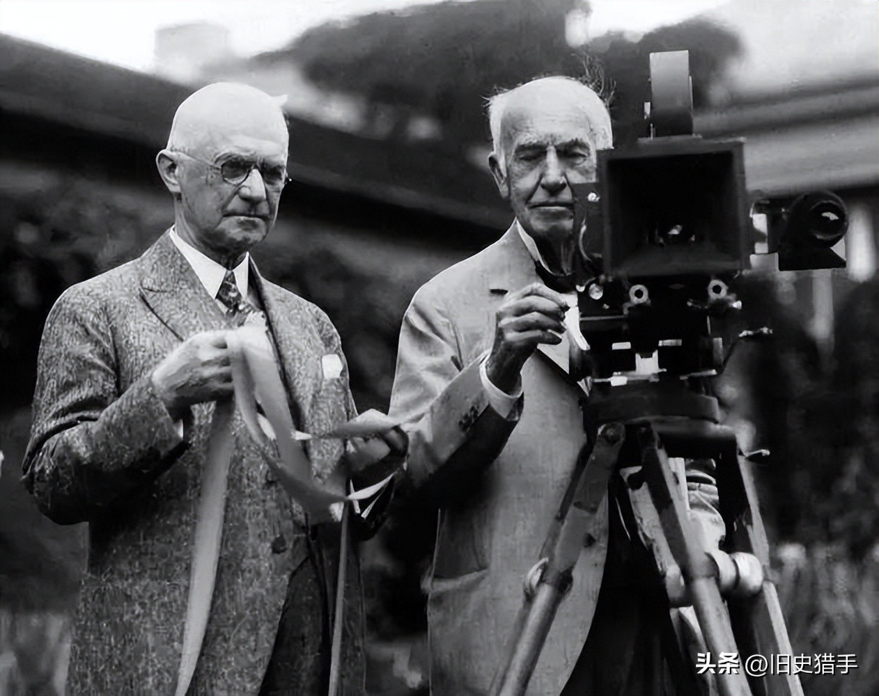 22个让人细思极恐的事实,13个关于动物的荒谬事实