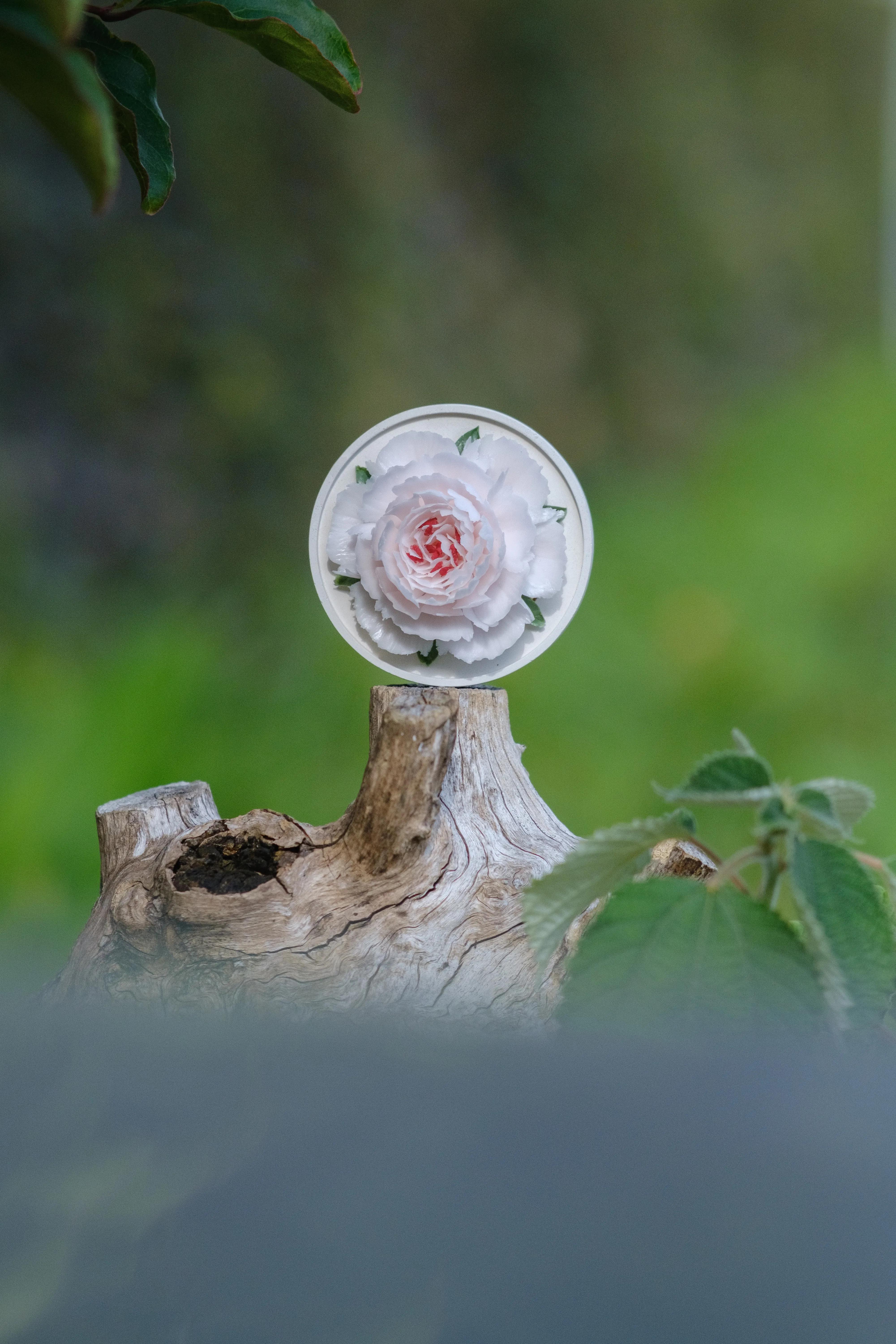 富士高性价比长焦镜头推荐,富士直出有多强