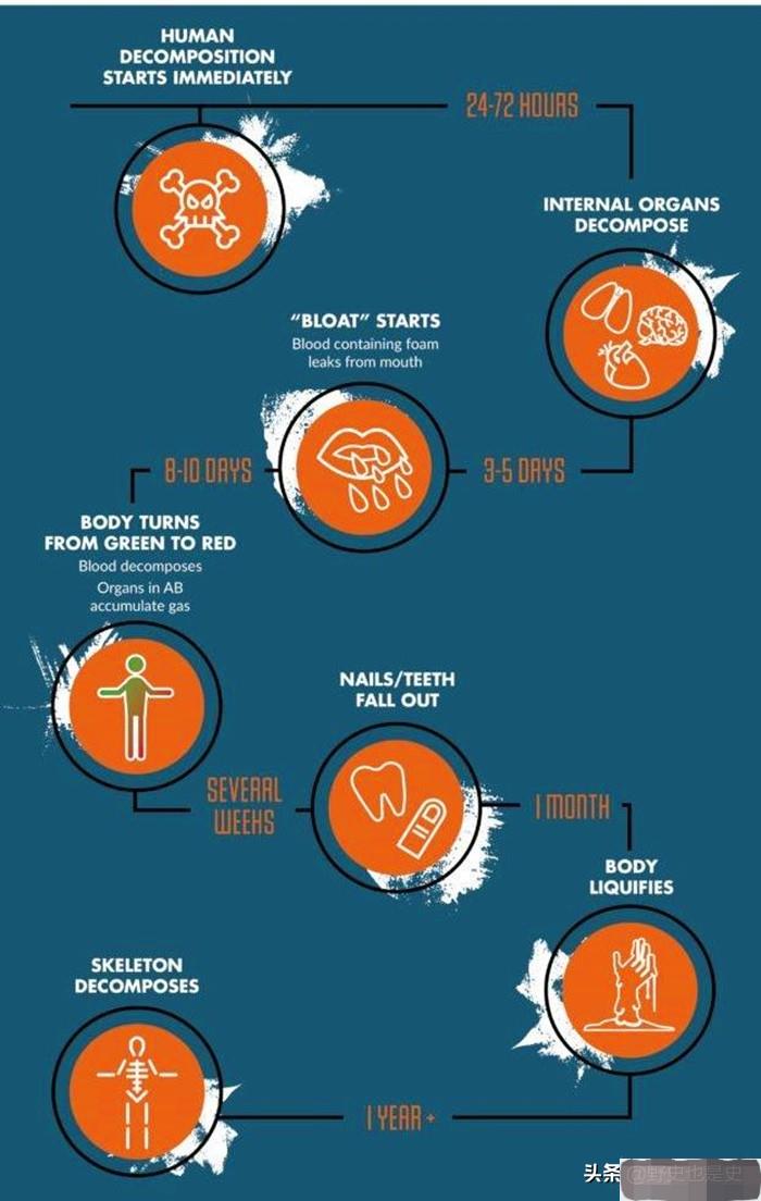 人死后开棺为什么看到嘴里出血,人死进棺材