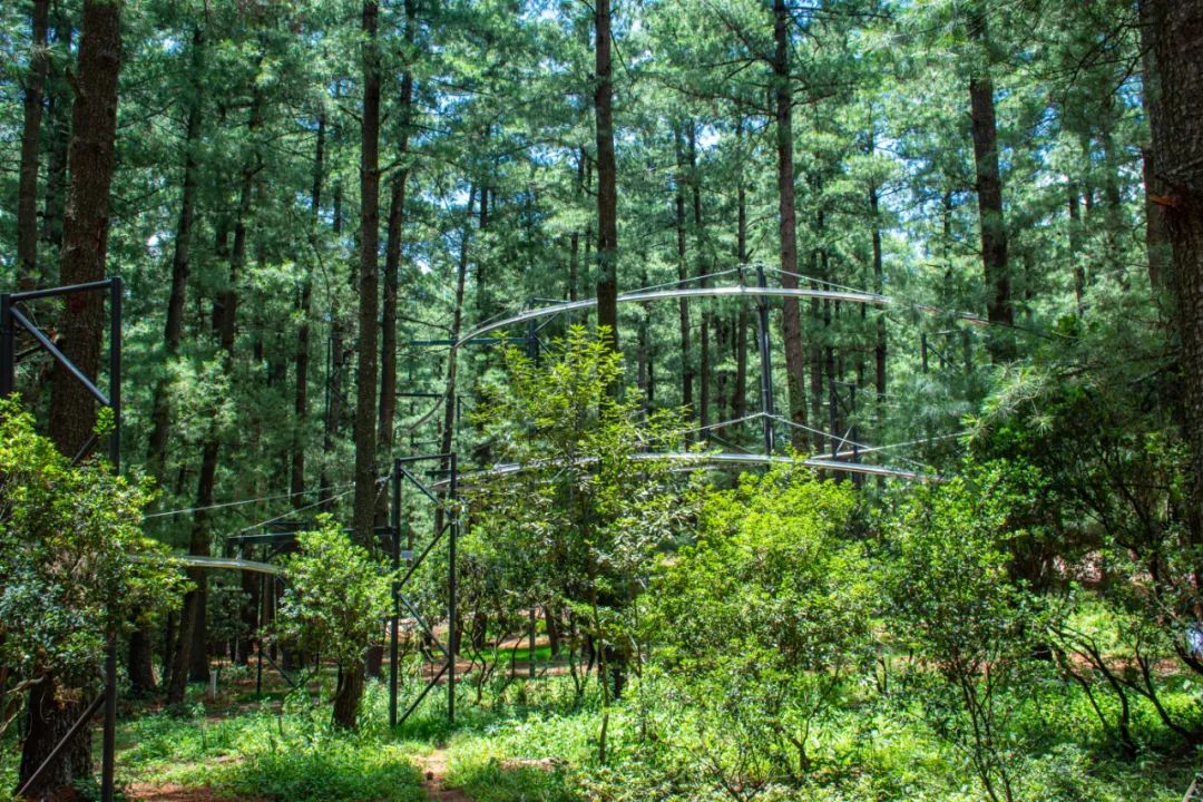 昆明周边旅游的好去处,常见的昆明周边度假攻略