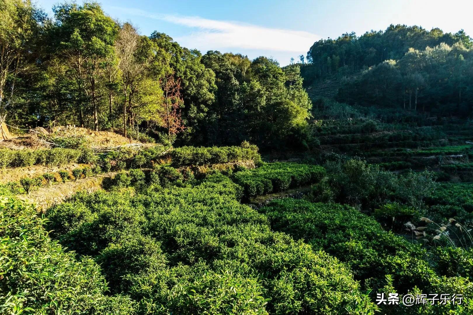 广东潮州凤凰海棠花谷，风光旖旎，3条绝美徒步线路值得一走