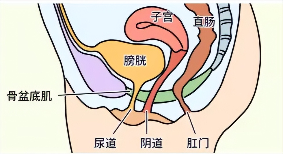 女裤上发黄有异味什么原因,女裤发黄是有妇科病吗