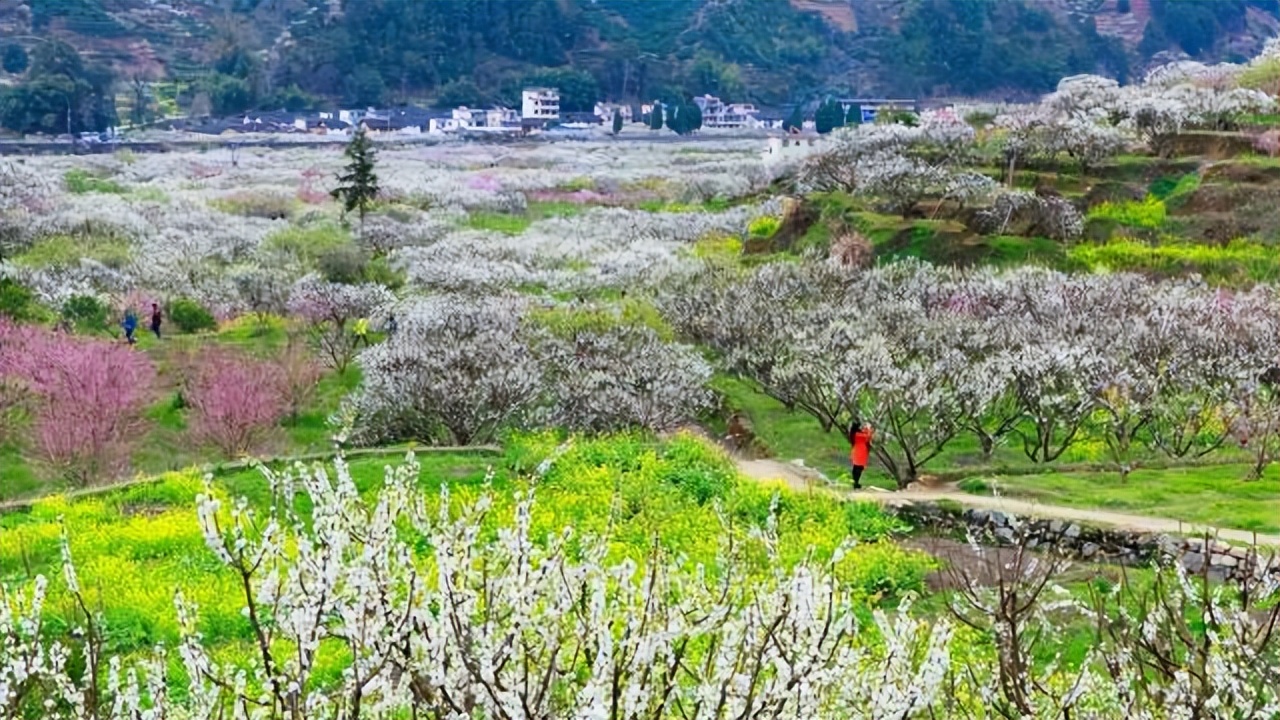 乐昌刘华益个人简介,乐昌刘华益个人信息