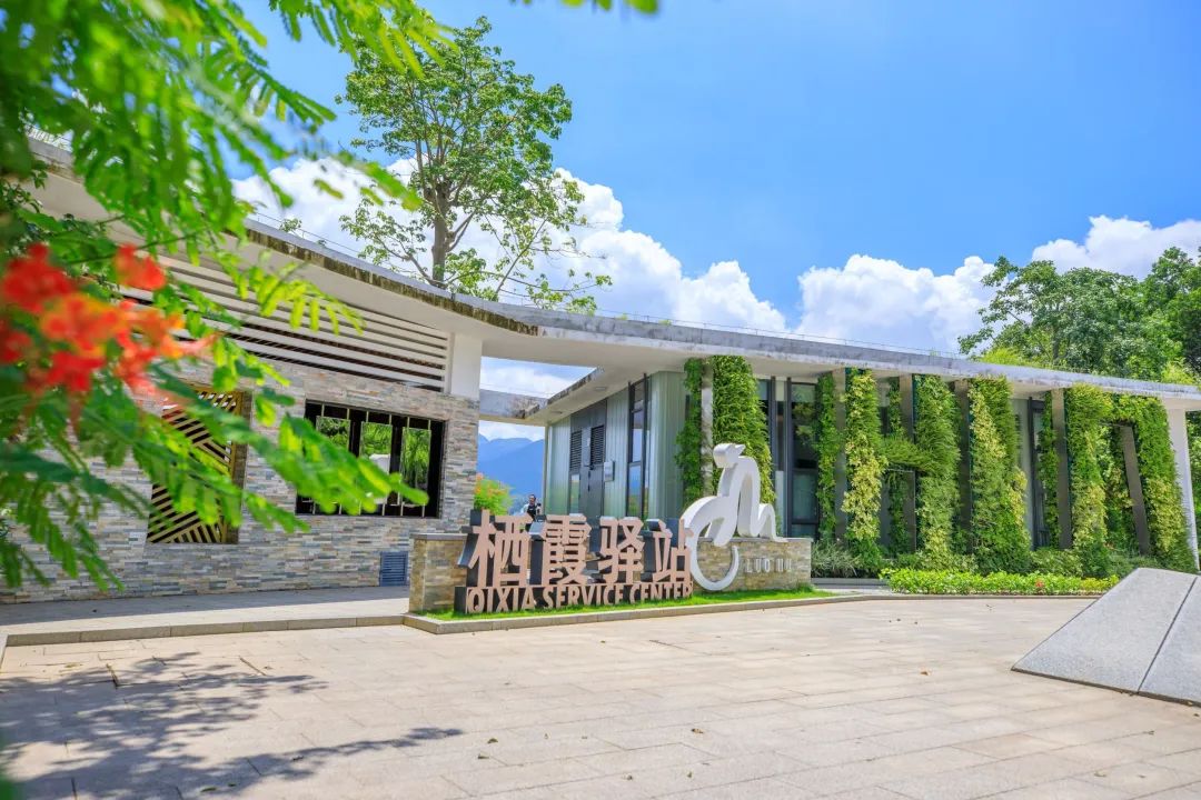 深圳淘金山绿道公园攻略,深圳淘金山绿道风景视频