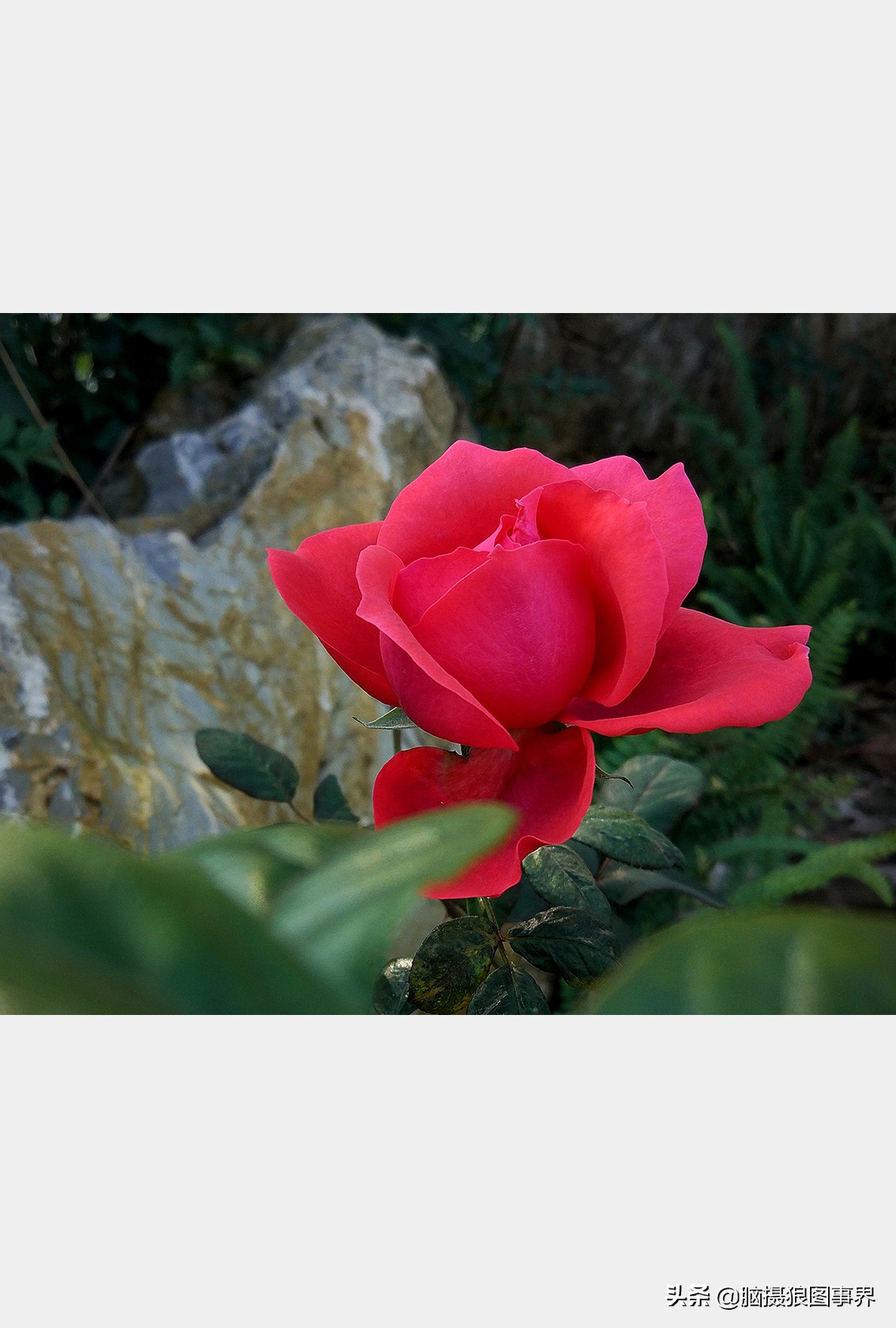 手机拍照不清晰怎么才能拍的好看,vivo手机拍照模糊怎样才能变清晰