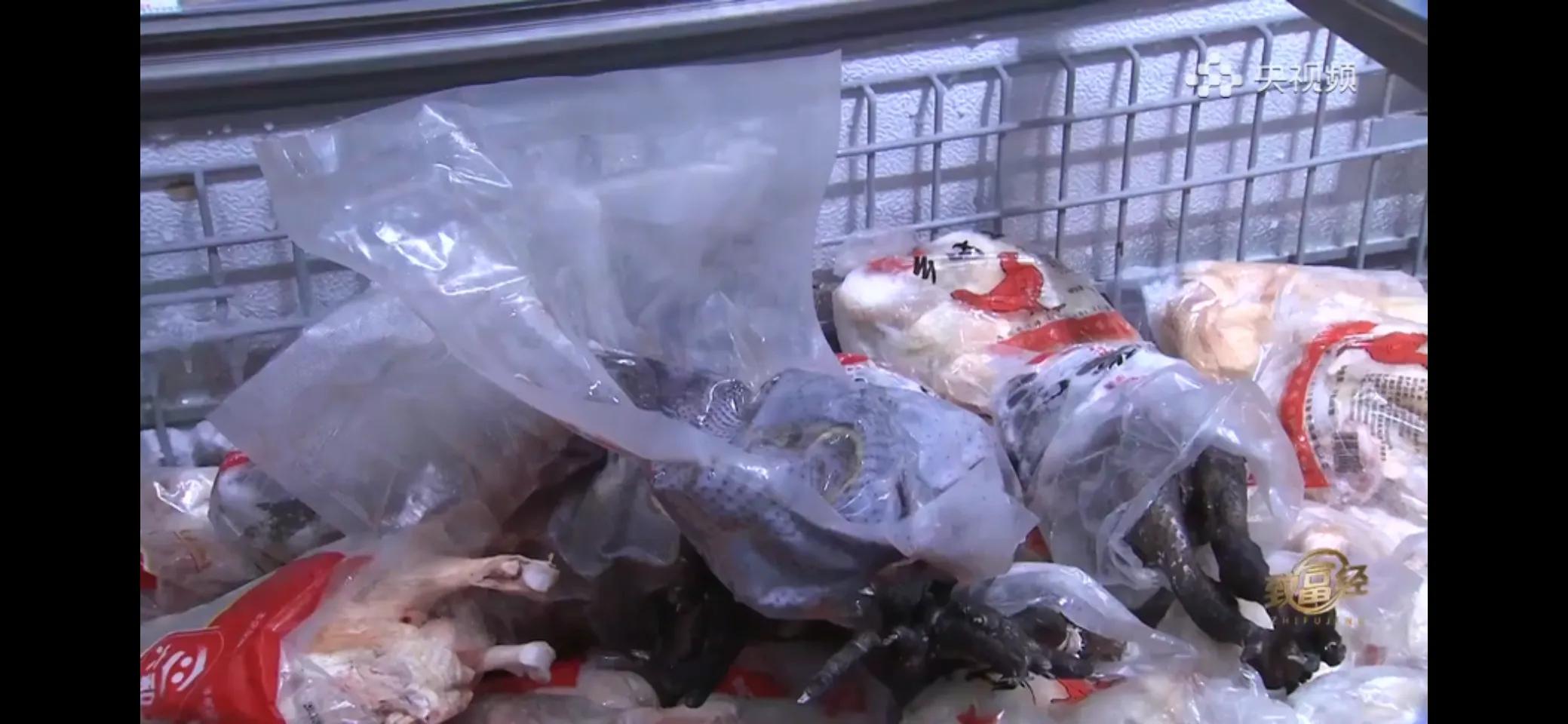 10万多只鸡养鸡场一年能挣多少,回村搞农业养殖一只鸡卖一万