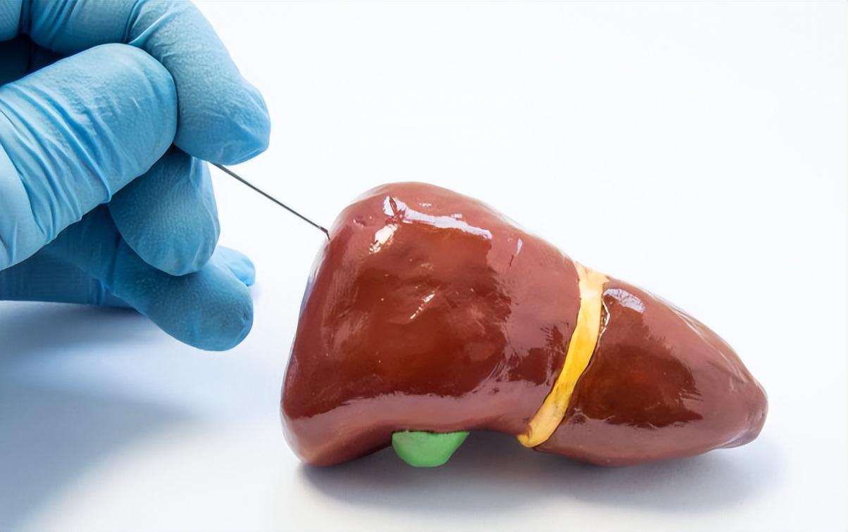 谷丙转氨酶高和谷草转氨酶的区别,谷丙转氨酶与谷草转氨酶有何区别