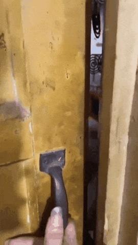 广东人的灭蚊术,阎王见了也发怵