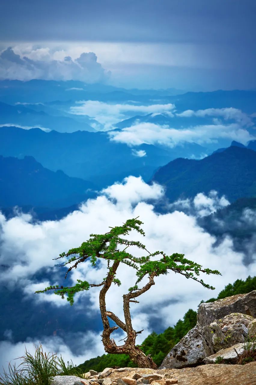 适合夏日避暑的旅游胜地,适合夏天避暑的旅游胜地