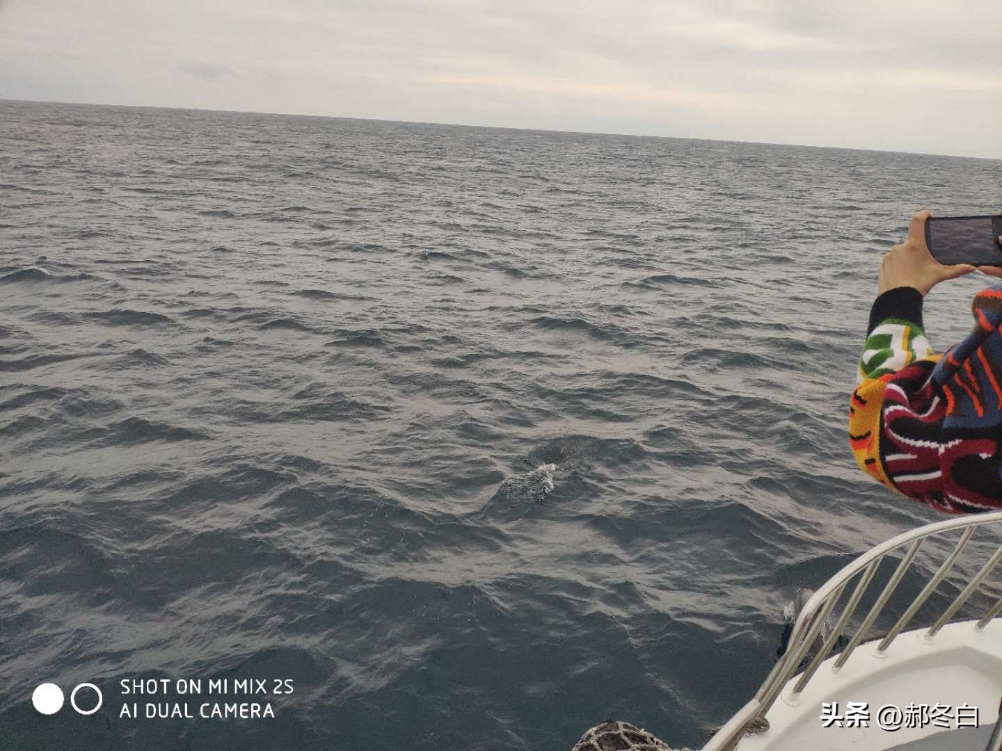 盈科律师事务所郝瑞雪,郝冬白律师的法治空间