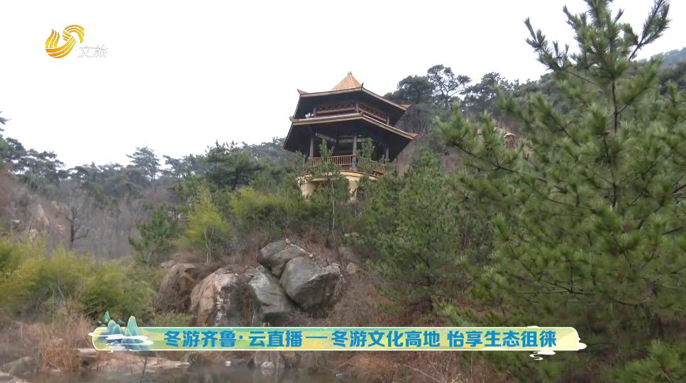 冬游齐鲁,冬游齐鲁泰安