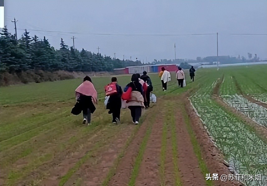 郑州富士康现在是个什么情况,今年的郑州富士康到底是怎么了