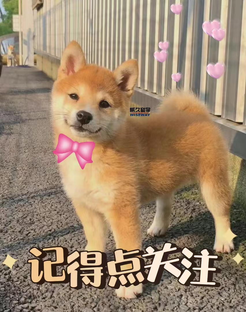 现在冷门将来热门的专业有哪些,冷门专业也可以拿高薪