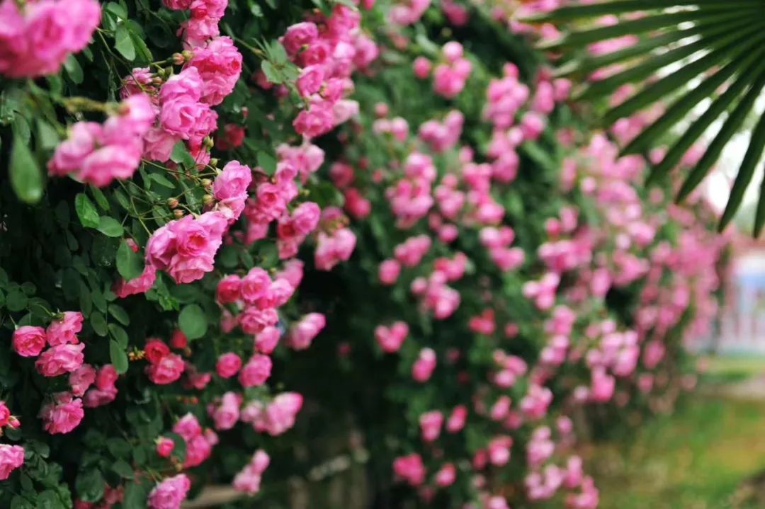 那就好好告个别吧，用你们最难忘的Moment