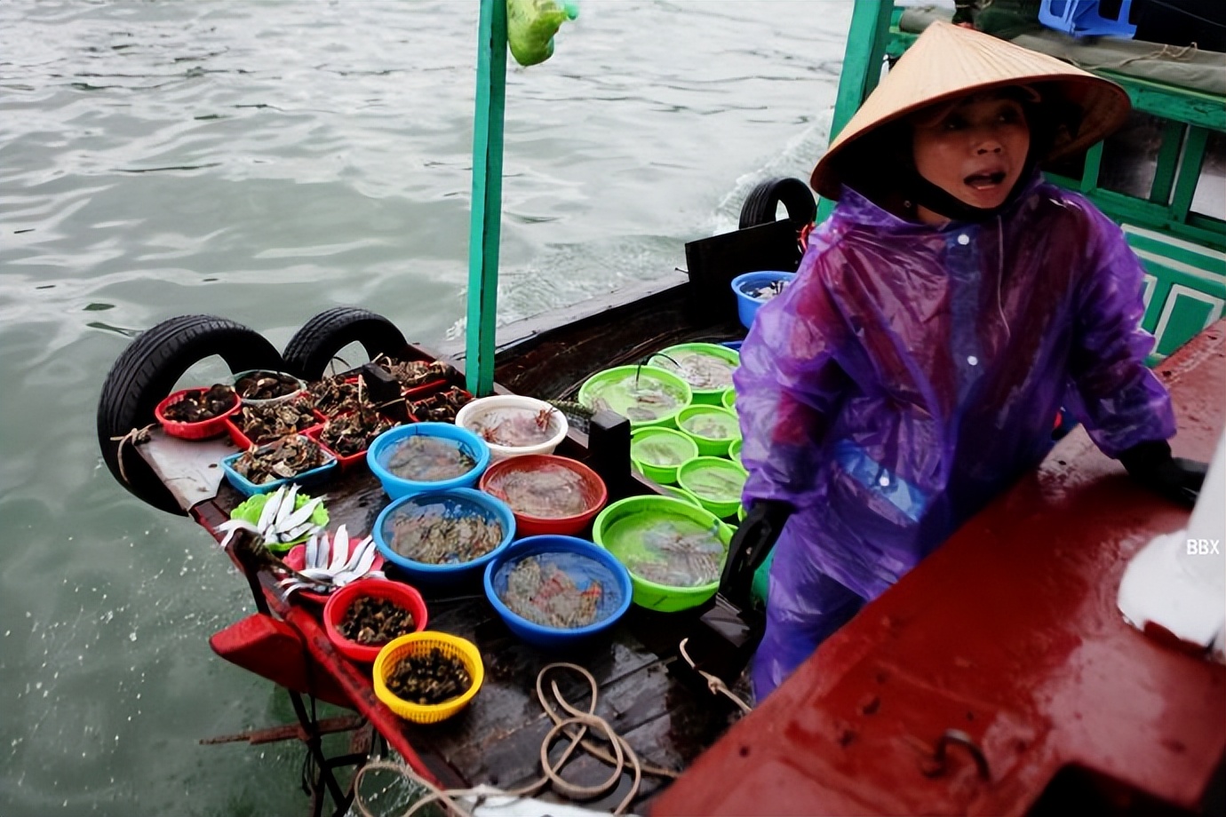 越南下龙，我在船上买海鲜