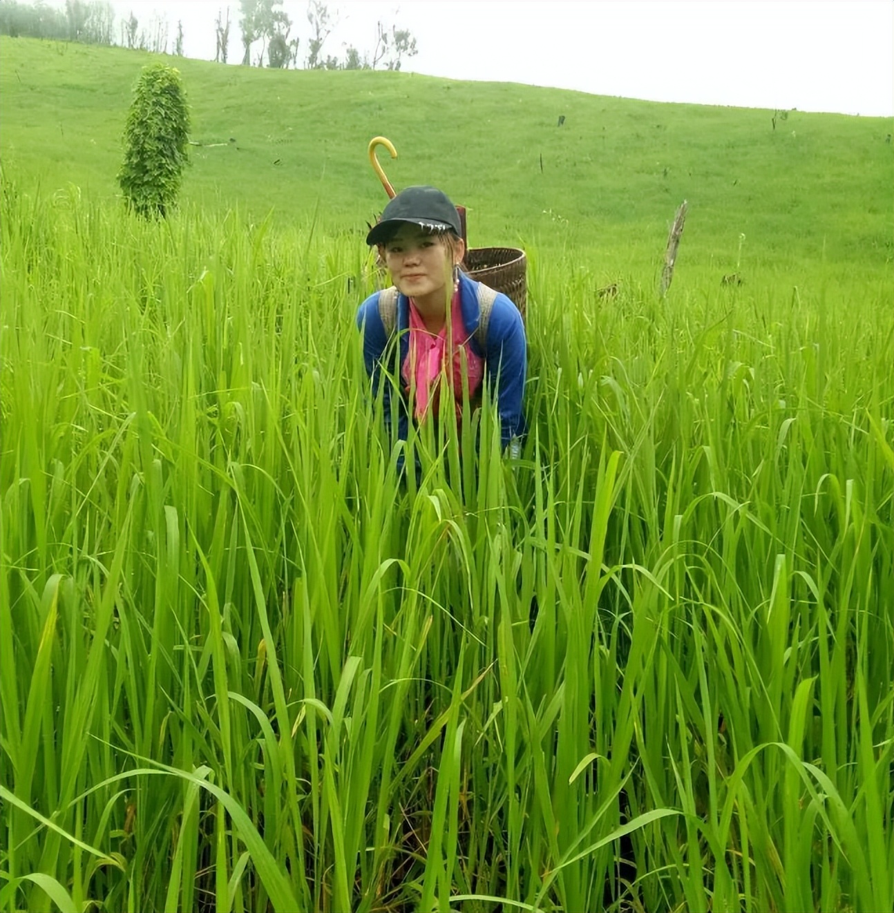 老挝18岁女孩嫁四川,21岁老挝姑娘嫁中国人