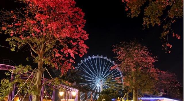 逛美食之都顺德,顺德又可以玩又可以吃的地方