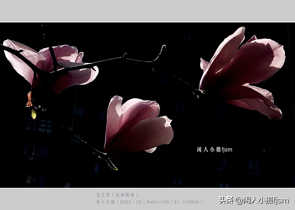 手机摄影构图技巧全解,玩转手机摄影一学就会的构图技巧