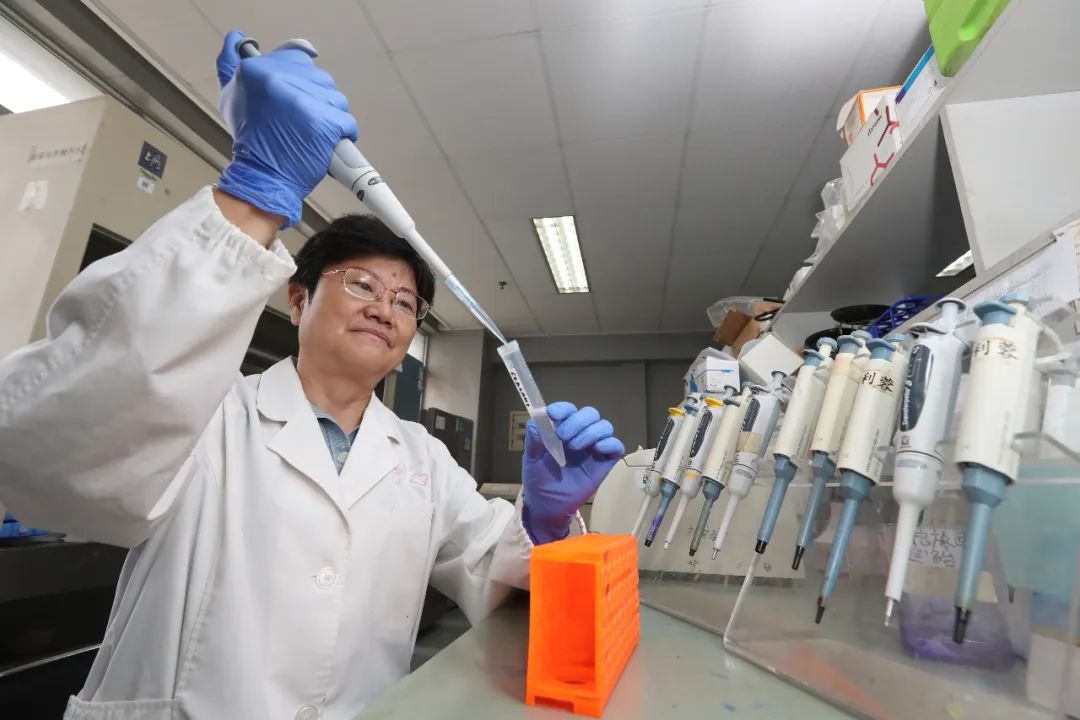 云南高质量跨越式发展,云南创新驱动