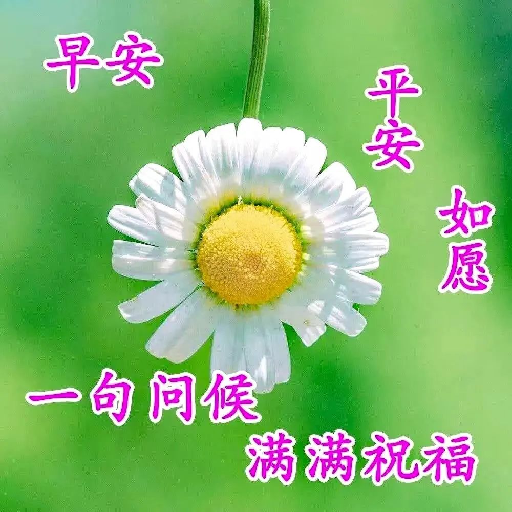 九月早上祝福,九月九早上好的祝福视频