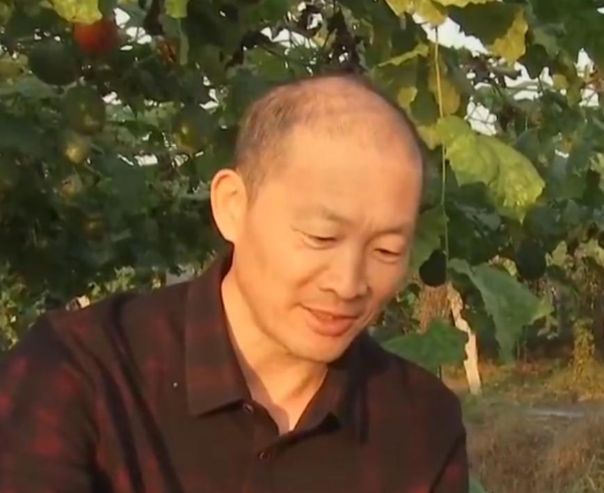 山东大叔种植奇怪果子,东北大叔种植奇怪果子