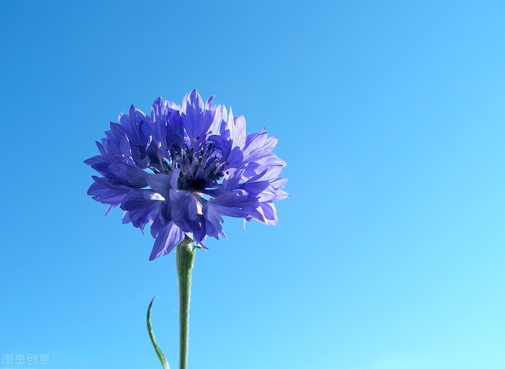 写给女孩子的六条人生建议,99条简单实在的人生建议