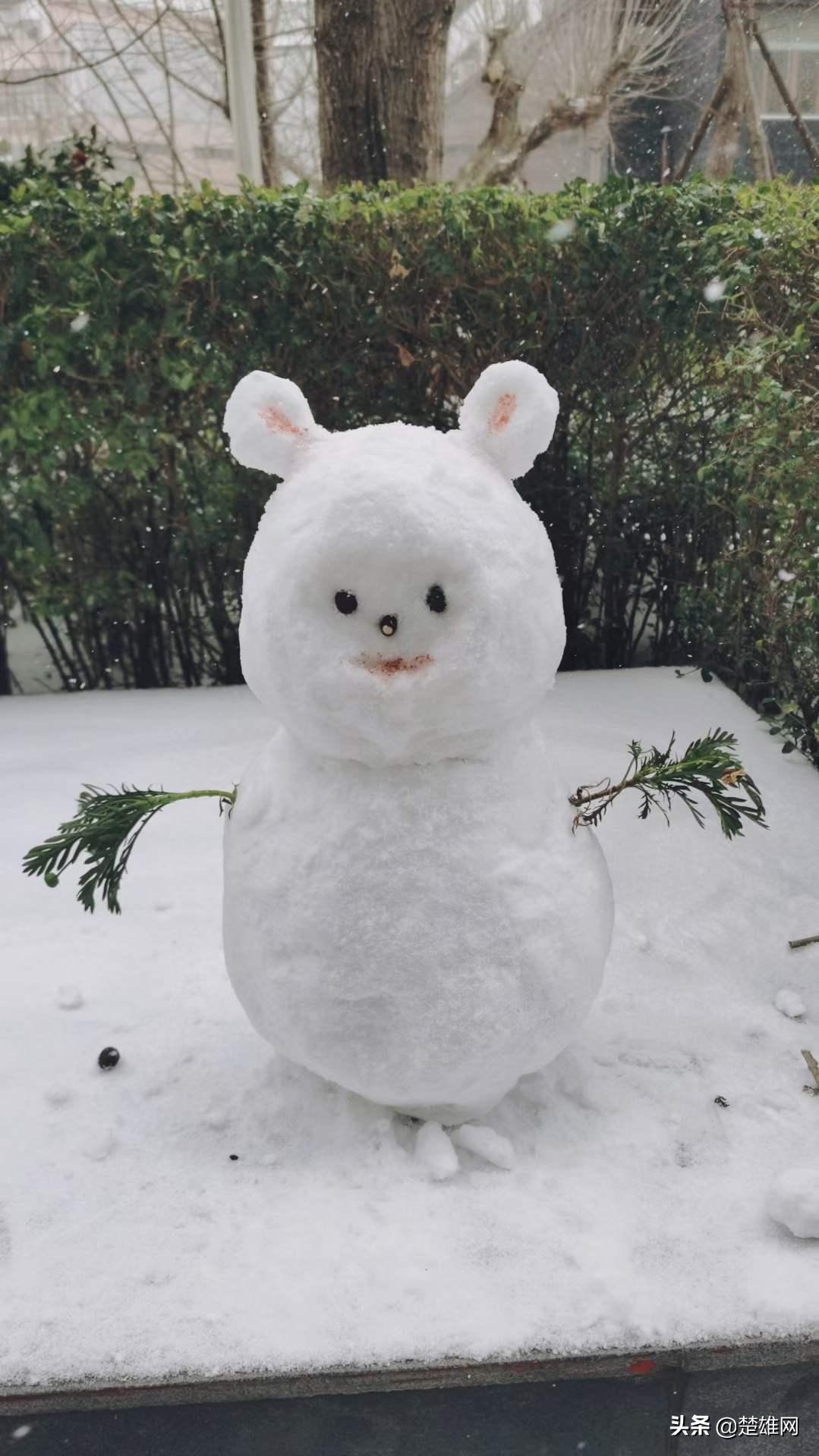 堆雪人创意大赛活动方案,堆雪人大赛活动