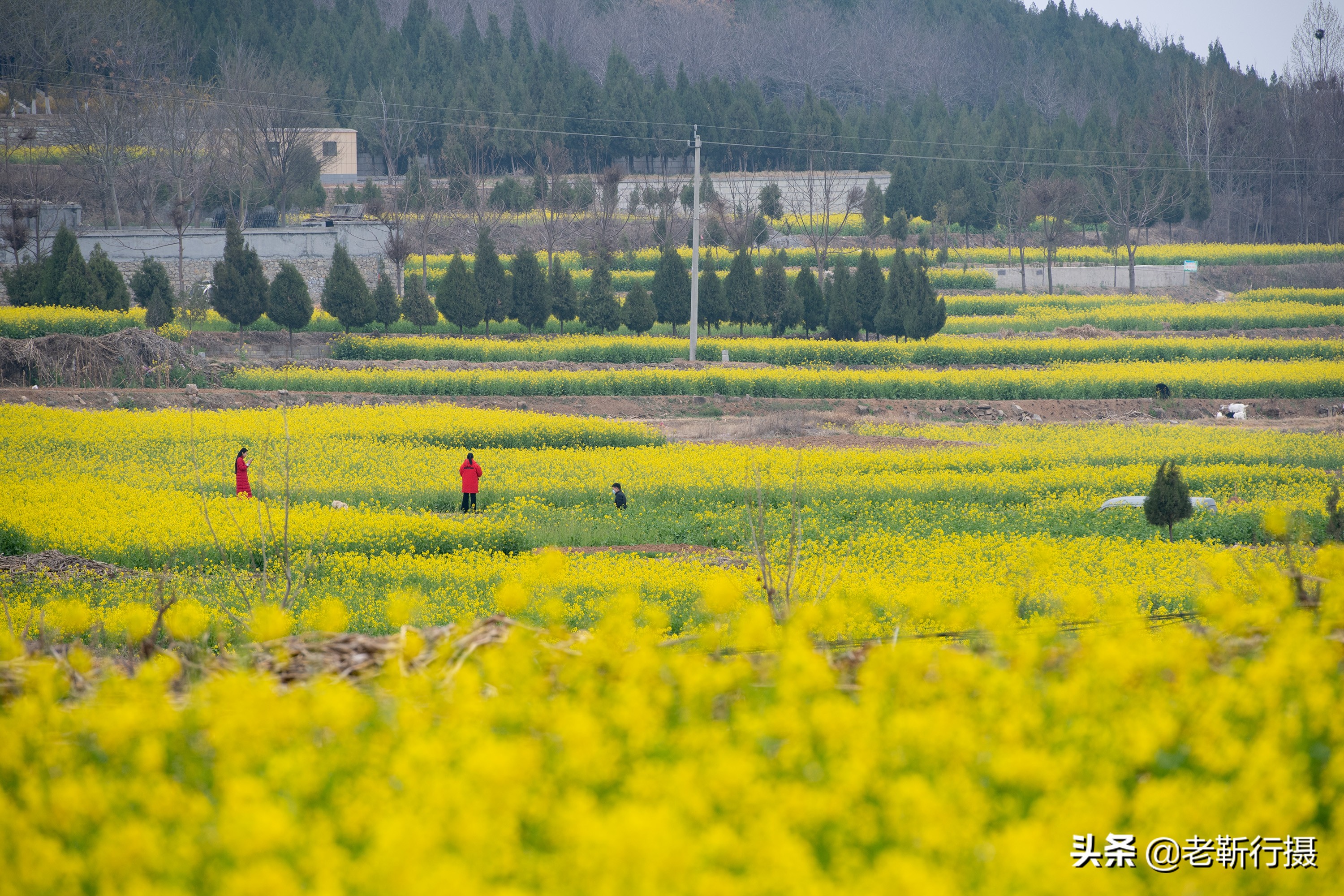 嘉祥石头古村图片,嘉祥最好的乡村