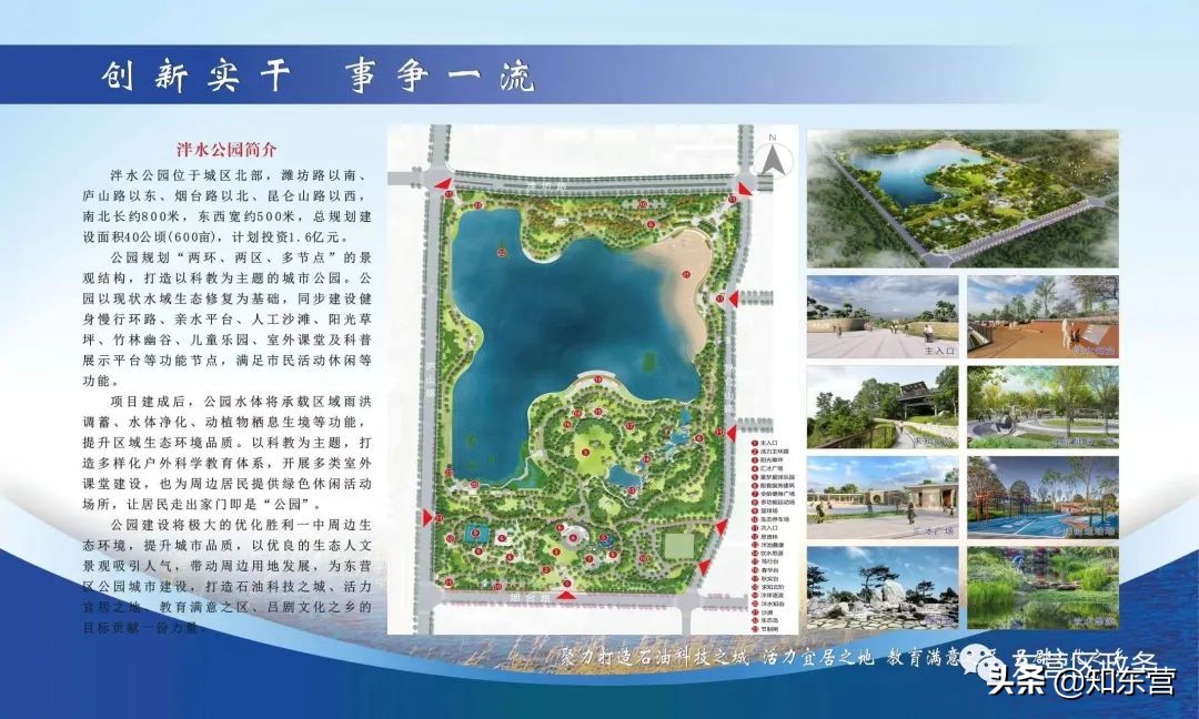 东营泮水公园火爆,东营泮水公园有植物吗