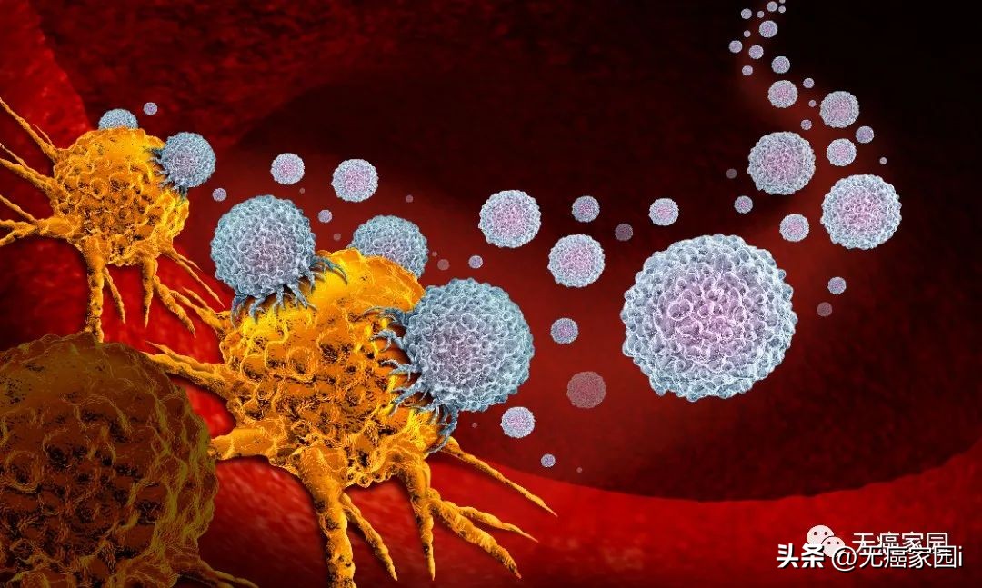 til细胞疗法能治愈癌症吗,til细胞疗法临床治愈肺癌