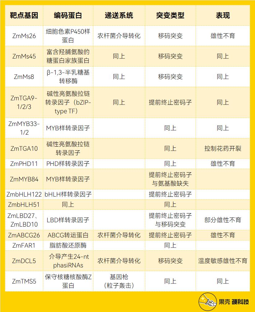 喂饱100亿人的技术，中国准备好了吗？