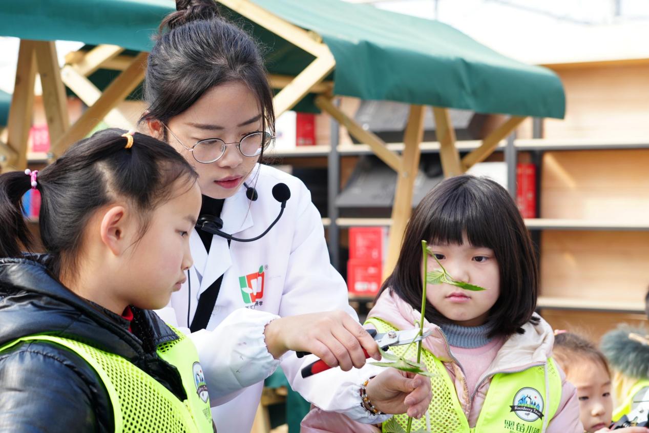 黑莓小镇在哪里,黑莓小镇