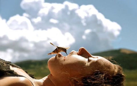 十大经典抓拍照片,100张绝美摄影照片