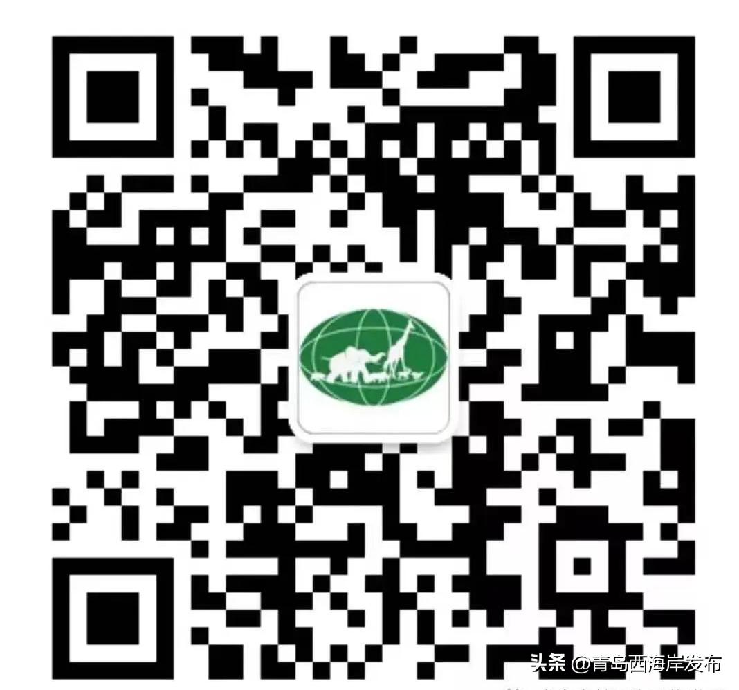 青岛森林野生动物世界等新区四家4*级A**景区免门票！（附假期游玩全攻略）