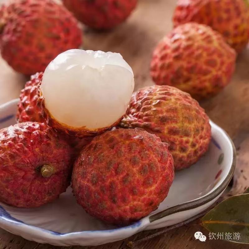 2020年灵山荔枝采摘地点,广西灵山荔枝现摘现吃