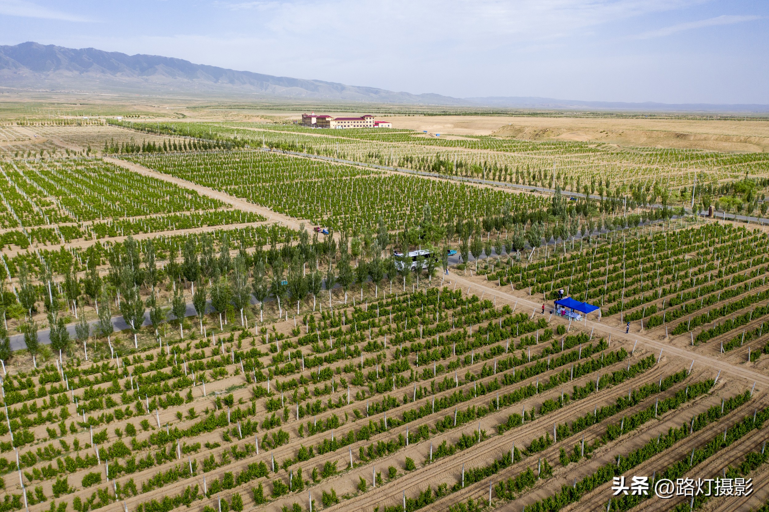波尔多顶级酒庄,波尔多有哪些列级酒庄