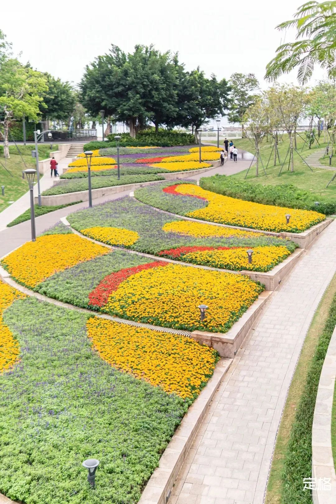 深圳地铁五号线十号线游玩地点,深圳地铁12号线最新最全线路图